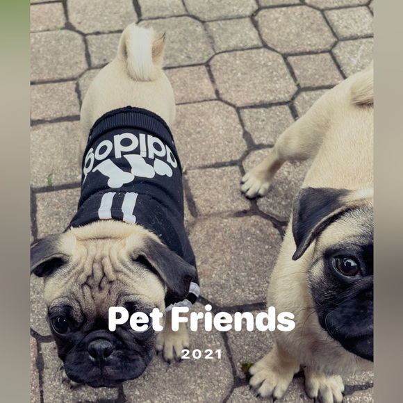 Adidas Inspired Adidog Hoodie Jacket 3 Bone Stripe Black White Sz Small - Picture 6 of 10